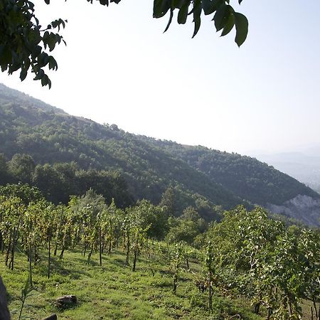 Fattoria Alvaneta Padula Ngoại thất bức ảnh