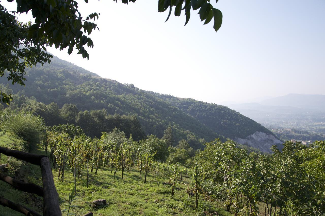Fattoria Alvaneta Padula Ngoại thất bức ảnh