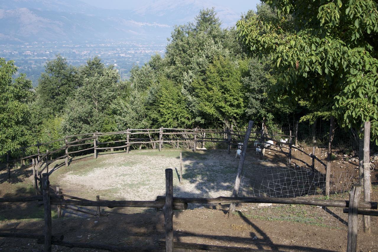 Fattoria Alvaneta Padula Ngoại thất bức ảnh