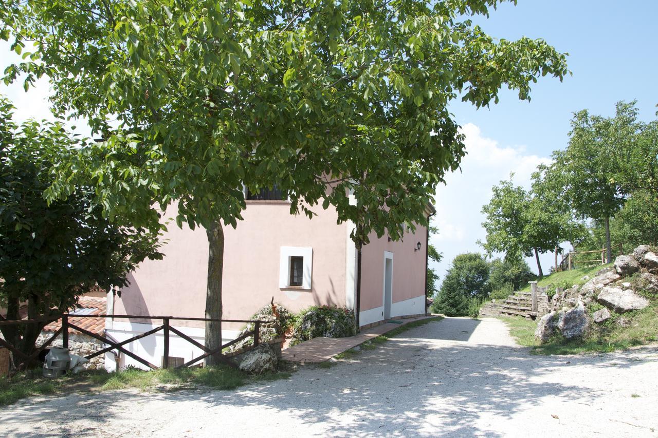 Fattoria Alvaneta Padula Ngoại thất bức ảnh